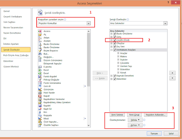 Access Seçenekleri