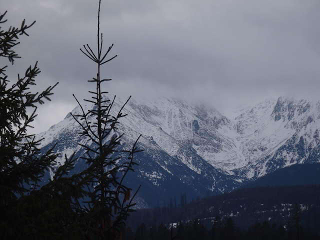 Widok na Tatry z Jurgowa