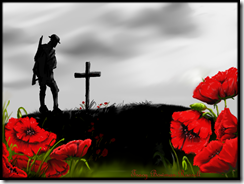 flanders field flanders field