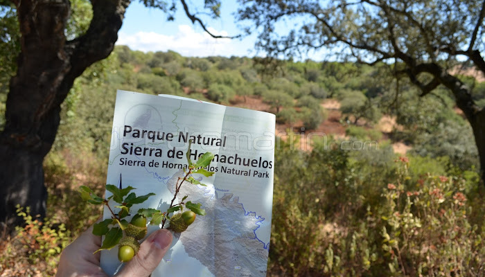 PARQUE NATURAL SIERRA DE HORNACHUELOS