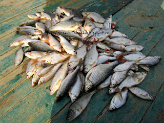 улов рыбы на реке Белой