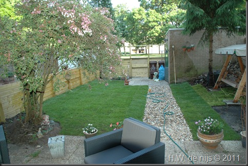 Garden looking good