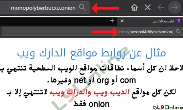 كل اسماء نطاقات مواقع الديب ويب والدراك ويب تنتهي بـonion بخلاف مواقع الانترنت السطحي التي تنتهي بـ com او org او net