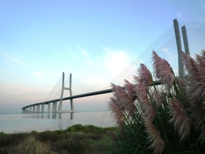 P1050357