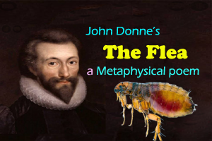 The Flea by John Donne as a metaphysical poem