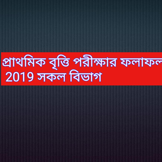 প্রাথমিক বৃত্তি পরীক্ষার ফলাফল 2019 সকল বিভাগ