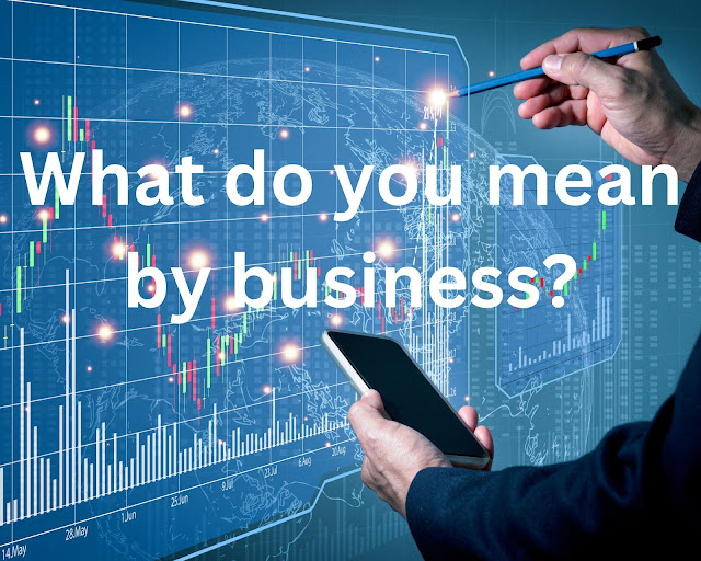 What do you mean by business?