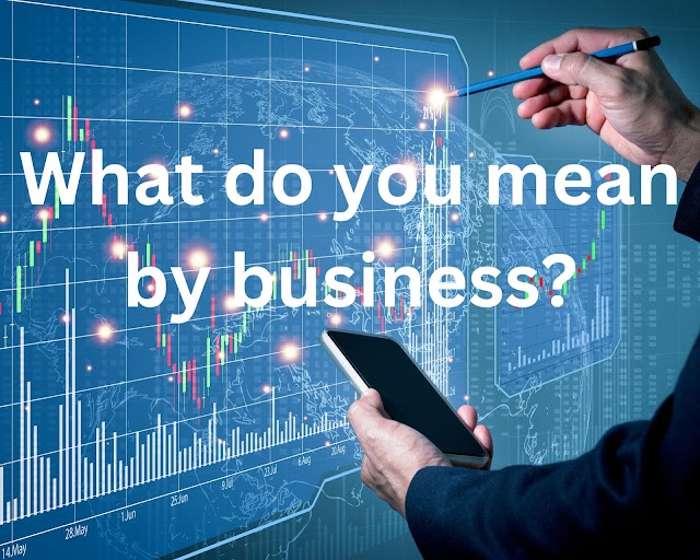 What do you mean by Business?