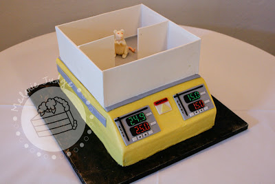 modeling chocolate rat thermal preference apparatus cake