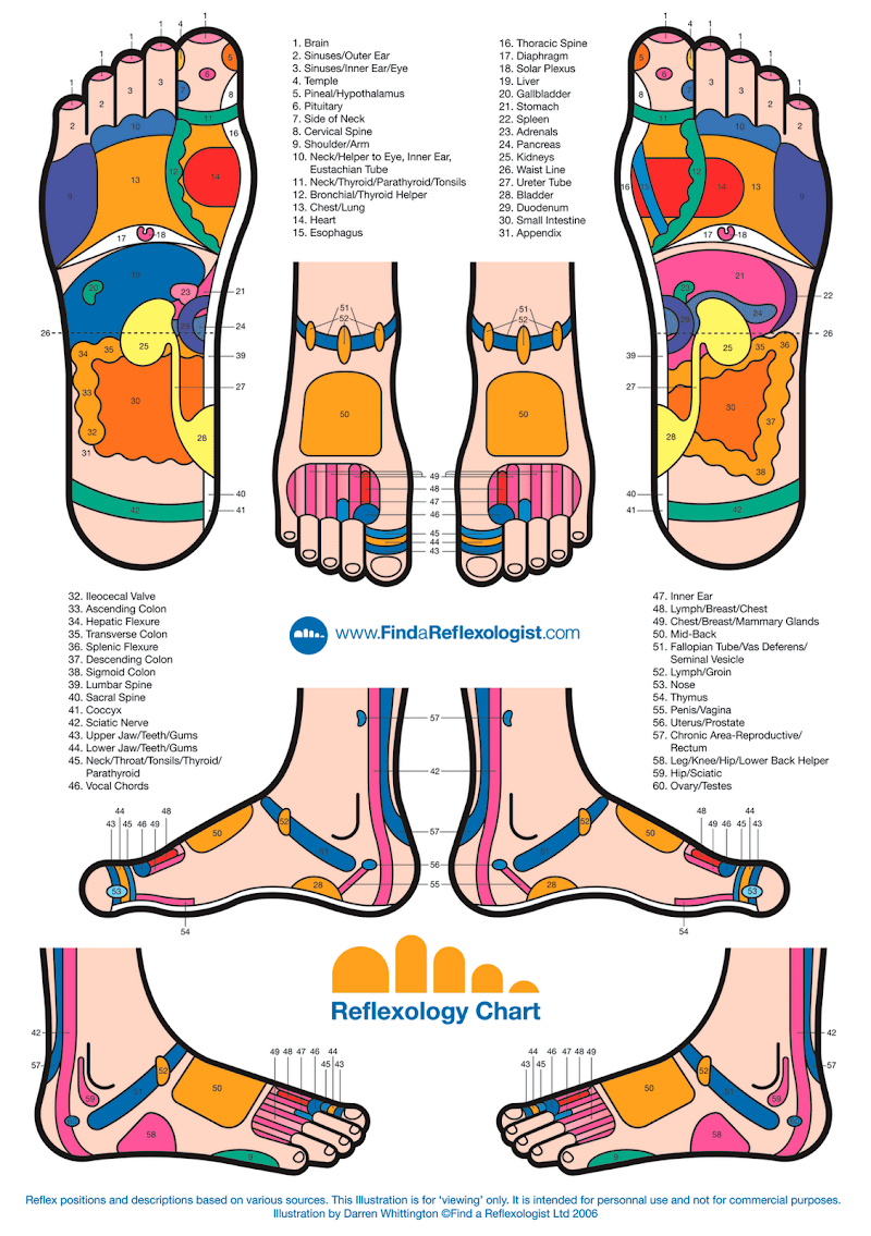 Top Terbaru 22+ Gambar Kaki Kanan