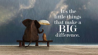 IT IS THE LITTLE THINGS THAT MAKE A BIG DIFFERENCE!