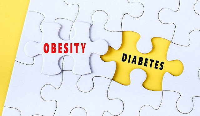 A DNA link between diabetes and obesity