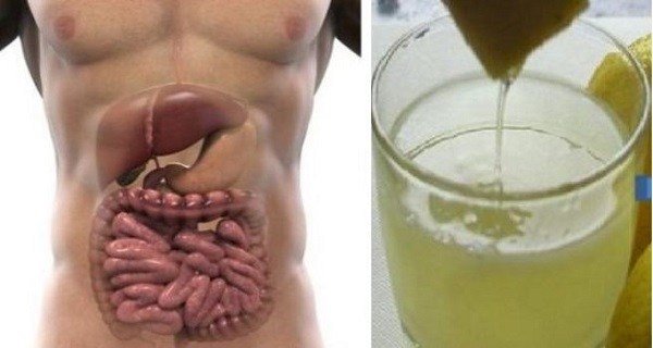 How To Detoxify Your Body In Just 2 Days