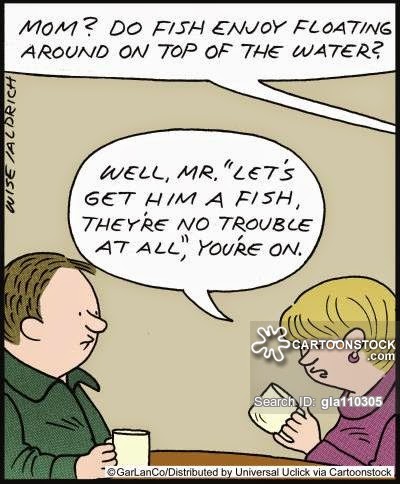 Fish Owner Cartoons