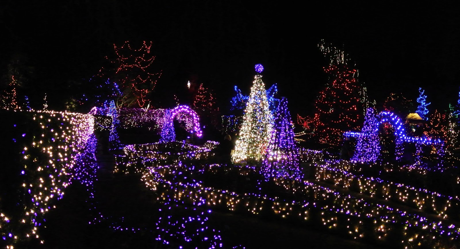 vivian - in stitches: Christmas Lights, Van Dusen Gardens