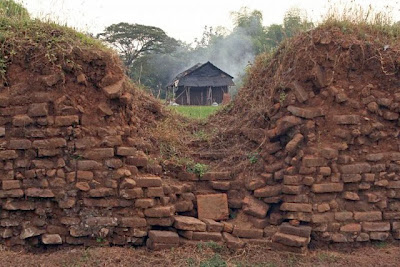 Bunga Majapahit