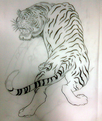 felinos tigres tattoo