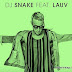 Lirik Lagu A Different Way - DJ Snake ft. Lauv (Terjemahan)