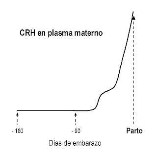 Niveles de hormona liberadora de corticotropina en plasma materno