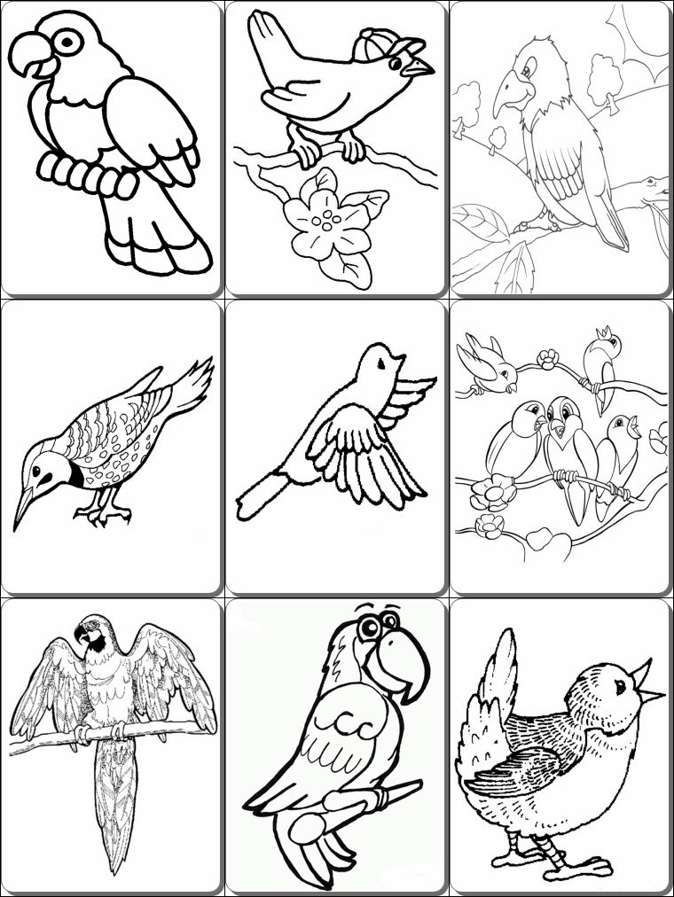 Pdf Coloring Pages