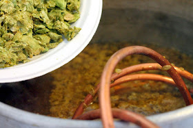 Adding the second dose of flame-out hops to Fortunate Islands