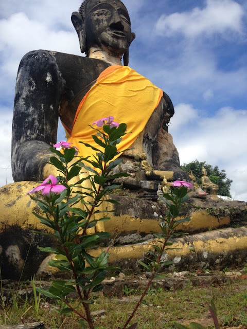 The Plain of Jars in Phonsavan