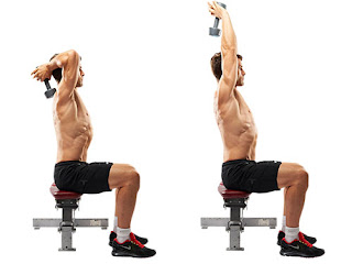 Tricep Overhead Dumbbell Extension