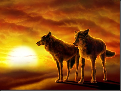 Wolves-Desert-Sunset-Wallpaper