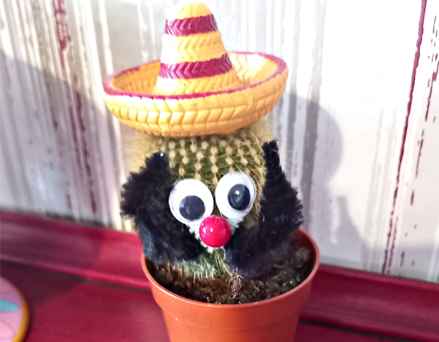 A cactus with a hat on