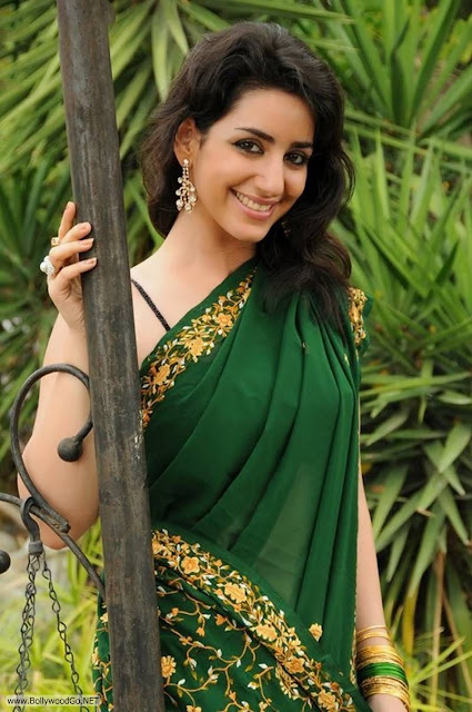 Actress+Kriya+Latest+Hot+Spicy+Stills+in+Green+Saree+(2)