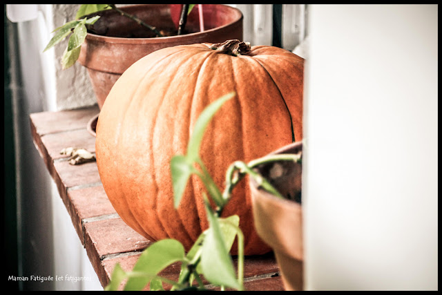 bonheur d'automne