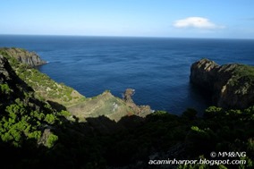 04-IMG_1294