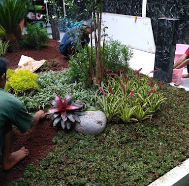 Jasa Tukang Taman Babakan Madang