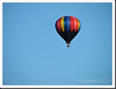 2011 06 29 IMG_0001w