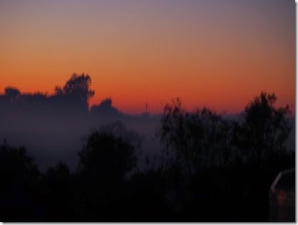 M'borough Early Morning Mist 05-55 am 26 May