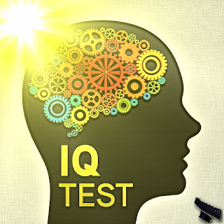 Значение на тестовите стойности по IQ при индивидуалната диагностика.