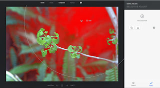 The google+ photo selective adjust edit option