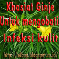 obat herbal untuk mengobati infeksi kulit