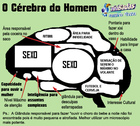 Análise do Cérebro Masculino