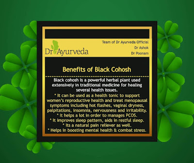 Benefits of Black cohosh by Dr Ayurveda