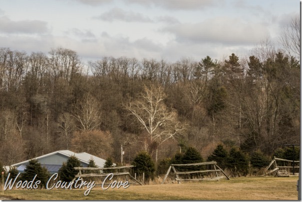 February 2016 (11 of 13)
