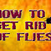 How to Get Rid of Flies with Homemade Remedies