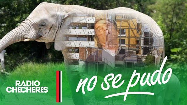 Fajardo y el Elefante Blanco de la Biblioteca España: Su reparación cuesta más que la obra inicial