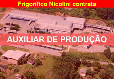 Frigorífico Nicolini abre vagas para Auxiliar de Produção