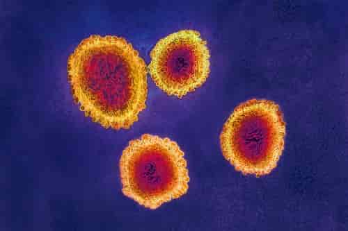 Os não vacinados correm o risco de ter uma variante mais perigosa do coronavírus