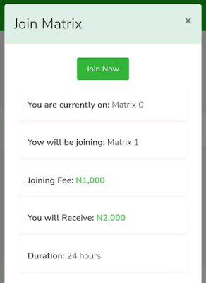 Join Zenora Investment, Latest Nigerian investment platform - make 64,000 in a week
