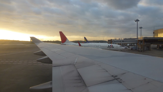 Two 737s at the gate