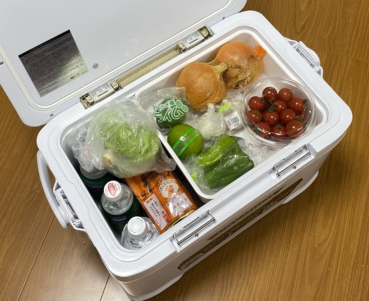 保冷剤と氷はどっちが冷える クーラーボックス活用術 野外活動 キャンプ 沼の畔から