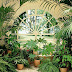 Free Beautiful Garden wallpaper,Beautiful Background photo, picture