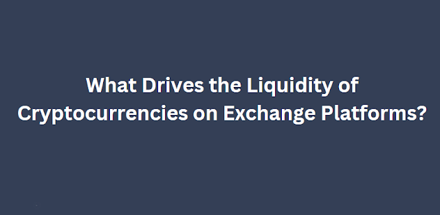 What Drives the Liquidity of Cryptocurrencies on Exchange Platforms?